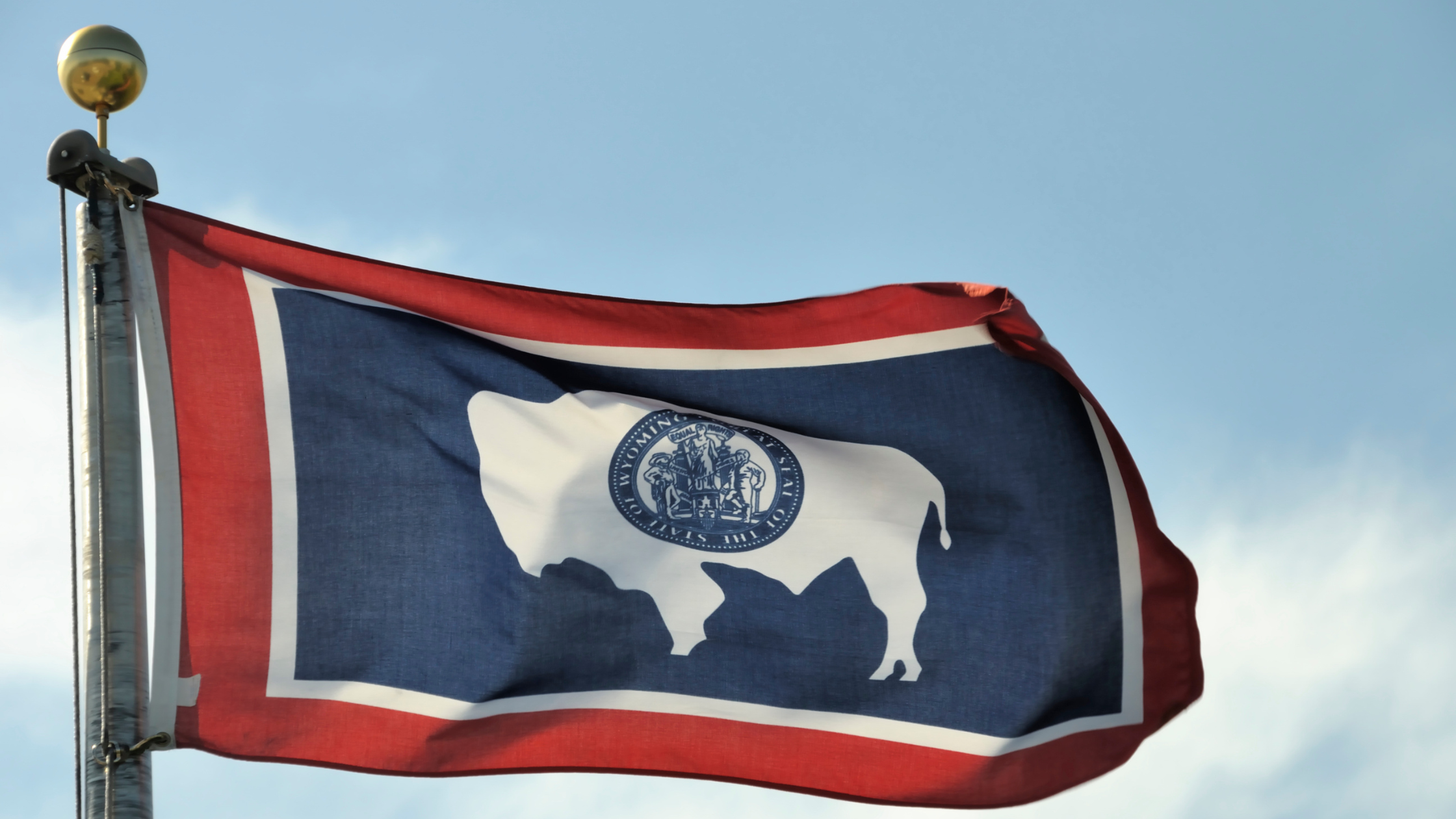 Wyoming LLC Cost Guide: Complete list of costs associated with your Wyoming LLC.