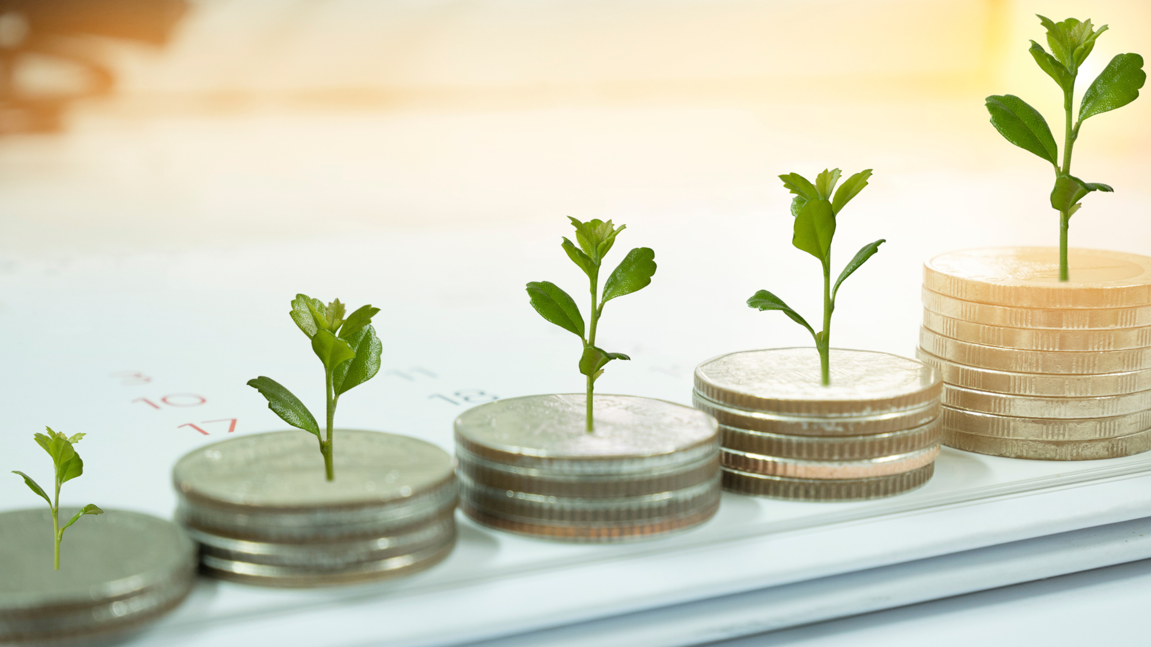 Demystifying Pre-Seed Funding: A Founder’s Primer