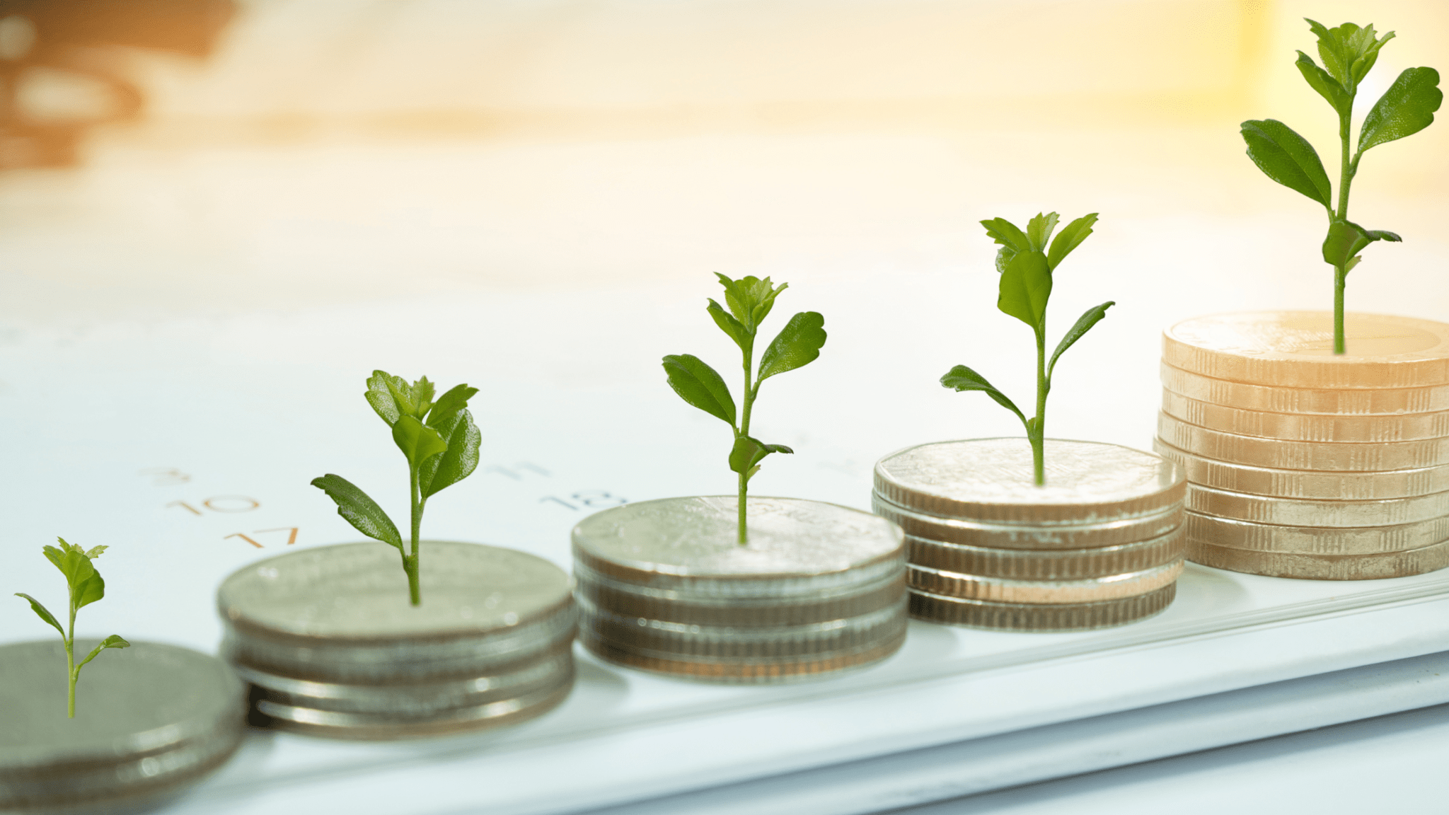 Demystifying Pre-Seed Funding