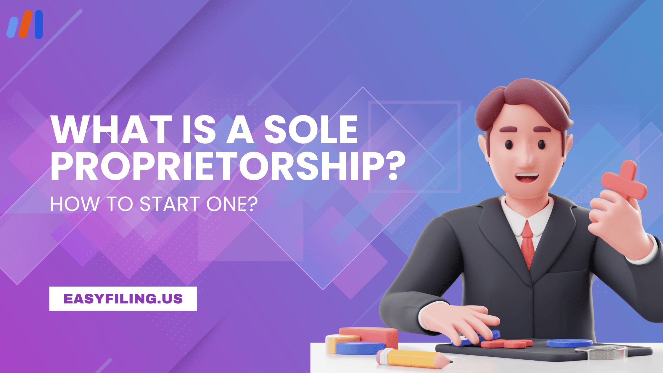 What is a Sole Proprietorship?