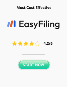 LLC with EasyFiling