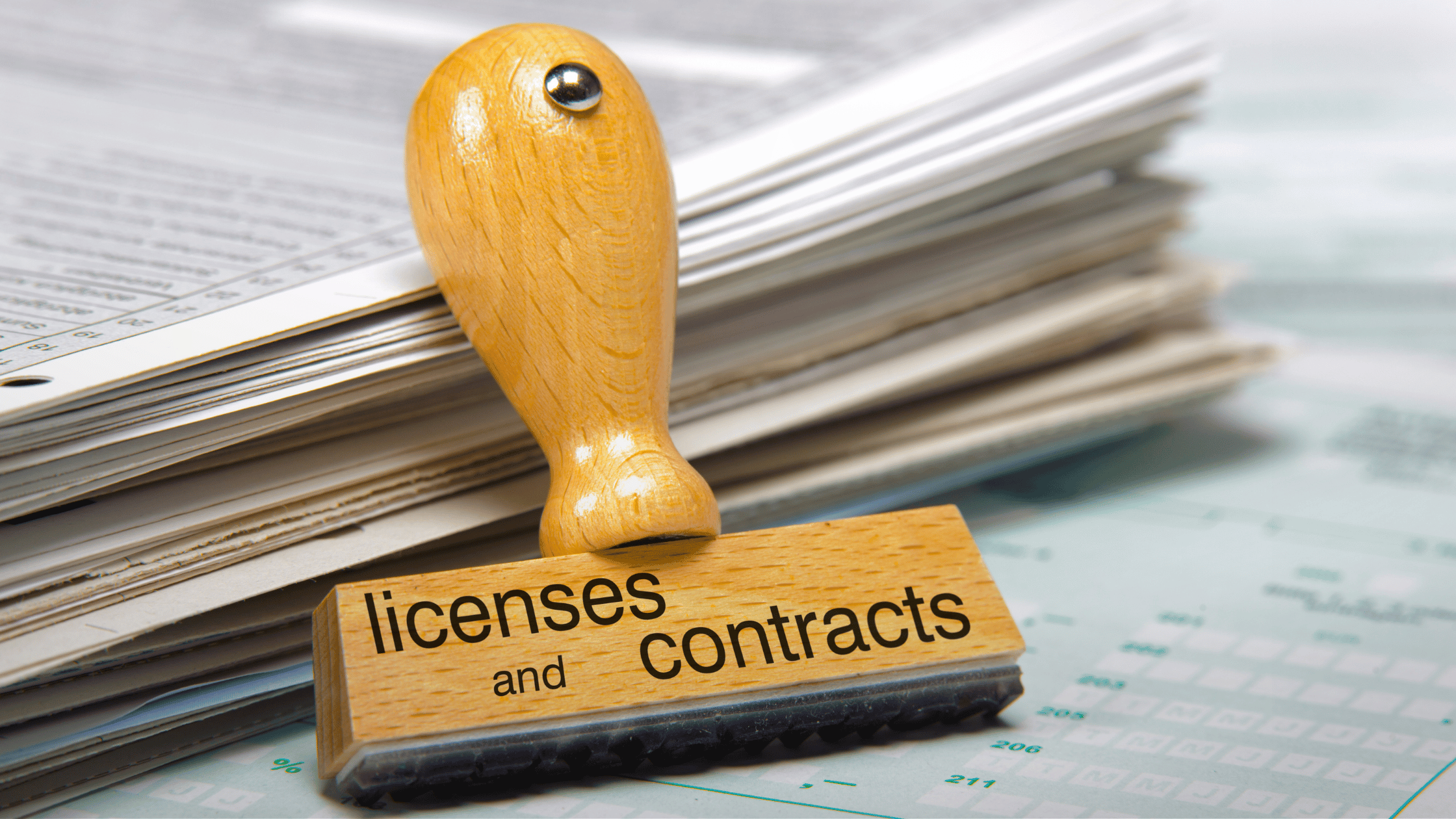 Business Licenses for an LLC