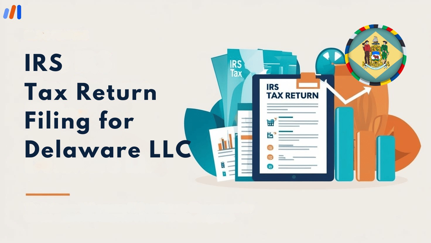 IRS Tax Return Filing for Delaware LLC