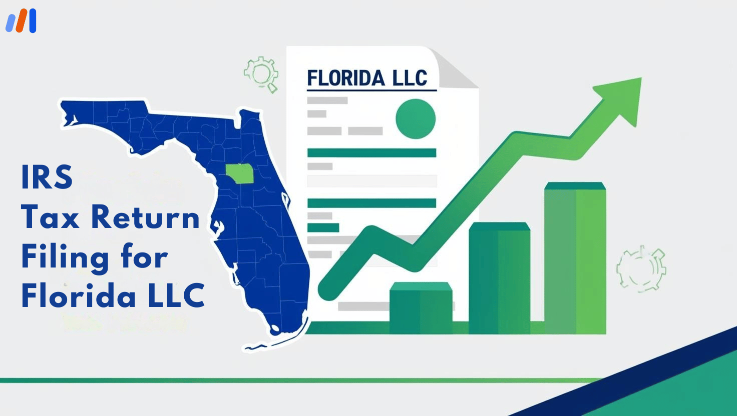 IRS Tax Return Filing for Florida LLC