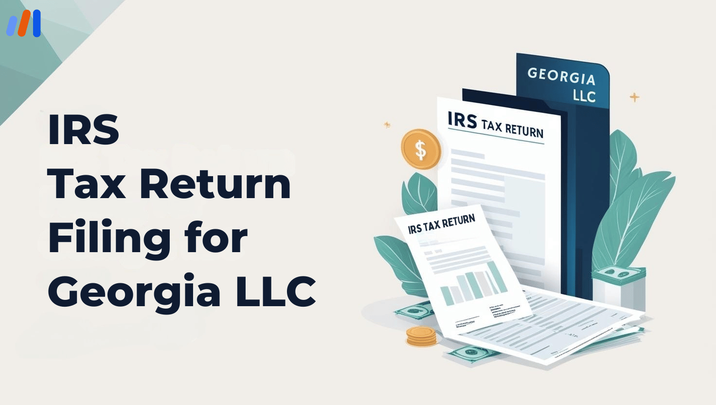 IRS Tax Return Filing for Georgia LLC