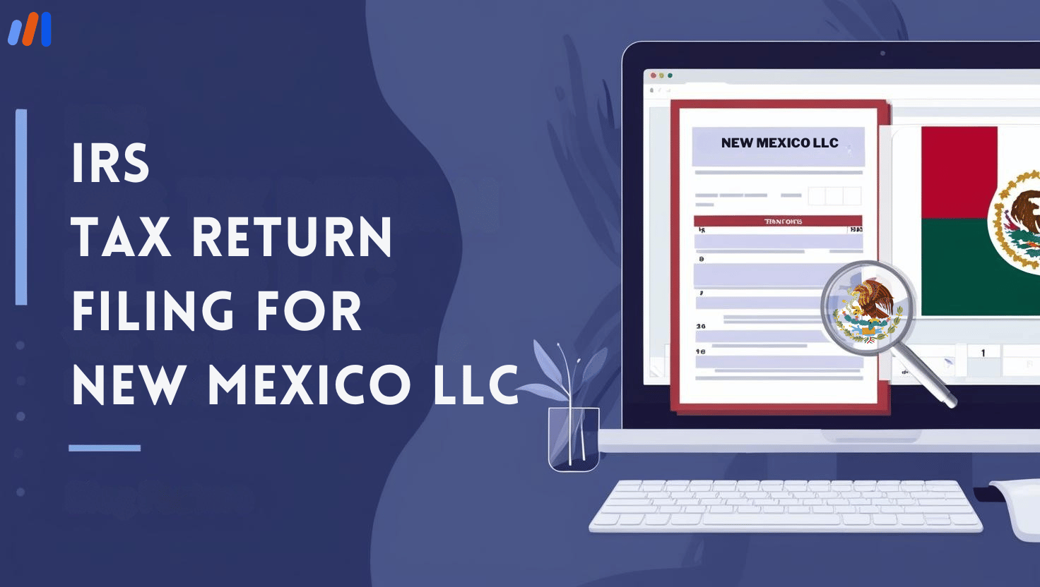 IRS Tax Return Filing for New Mexico LLC